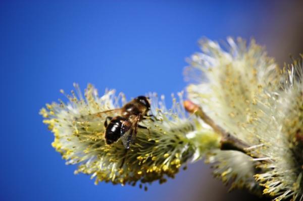 賢いダイエット女子はみんな知ってる「ちょっと運動」の効果激増を叶える方法って？