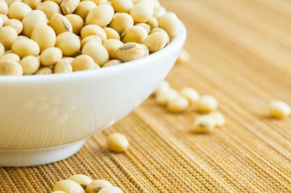 【夏に食べたい】バストアップも便秘解消も「きなこ」がぜんぶ解決!? おすすめの食べ方とは