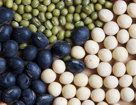 【夏に食べたい】バストアップも便秘解消も「きなこ」がぜんぶ解決!? おすすめの食べ方とは