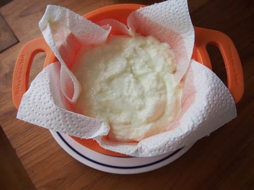 【美容効果バツグン！】ふつうのヨーグルトがギリシャヨーグルトに変身！簡単レシピとは？