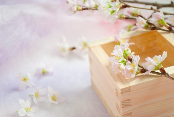 長澤まさみのような美肌に！自宅でカンタン「日本酒風呂」の作りかた