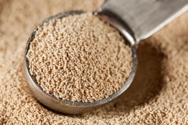 【透き通るような肌・・・】宮崎あおいさんの透明感は「酵母」美容のおかげ!?