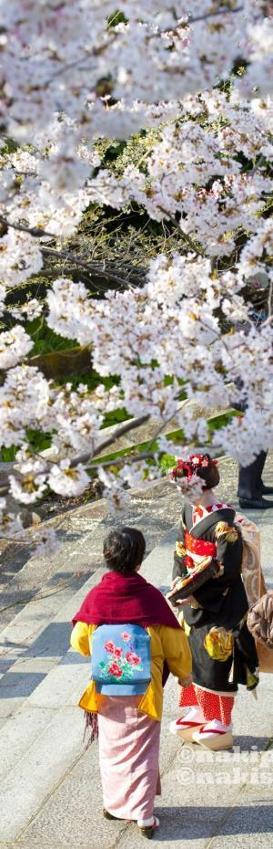 【あなたの知らない京都】Re：卒業式は見栄の張り合いですが、なにか？