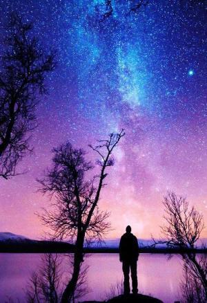 誰もが平等に持っている自由について　～私の恋愛も、あなたの恋愛も、絶対悪くなんかない！　最強の恋愛小説集『きみはポラリス』～