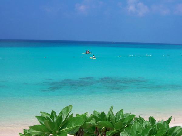 なにも年末に自殺しなくても！なんかじわっと「生きたい！」と思えてくる「行きたい」旅行スポット【南国編】