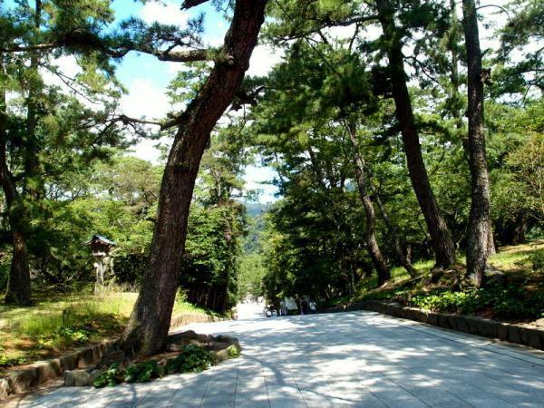 11月は出雲大社の縁結びパワーがすごい！恋愛運を高めるには？