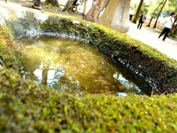 11月は出雲大社の縁結びパワーがすごい！恋愛運を高めるには？