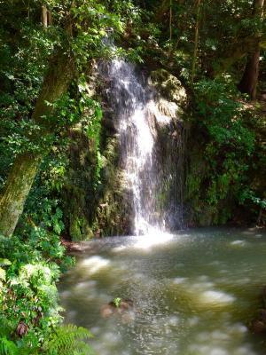 11月は出雲大社の縁結びパワーがすごい！恋愛運を高めるには？