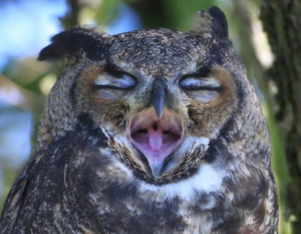 「何かあったら相談してね」という上司は、部下から信頼されてないことを自覚していない