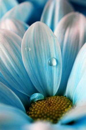 その他大勢としてではなく「個人」として生きてゆく方法【瞳子先生の人生相談】第14回