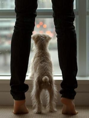 要注意！30代シングル女性が共通して「無駄遣いにしているコト」が明らかに！