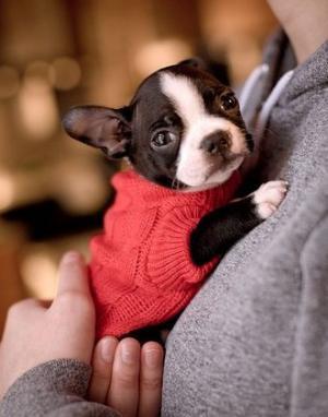 要注意！30代シングル女性が共通して「無駄遣いにしているコト」が明らかに！