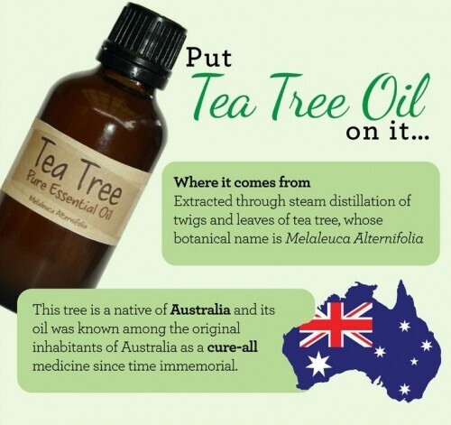 誰でもカンタンに作れる「虫よけに絶大な効果がある」身体に優しいオイルの作り方