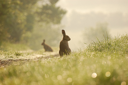 何をしても満足できない欲望を消す方法～心を幸せをさせるには？～