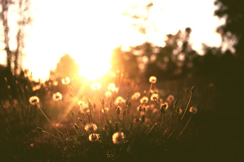 何をしても満足できない欲望を消す方法～心を幸せをさせるには？～