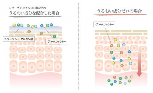 老化は食い止められる!? 肌を活性化させる30代からの美容液とは？