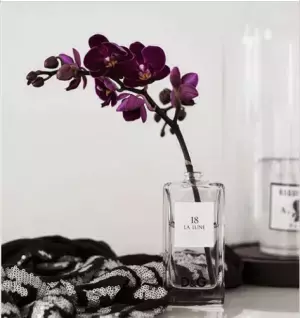 使えるから捨てないで！可愛い香水ボトルの斬新な活用法