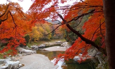 疲れた心を癒すには？オトナ女子が楽しめる紅葉狩りスポット3選