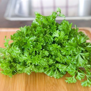 冬だってベランダ菜園！初心者でも成功するハーブの種類と育て方（お料理レシピも！）