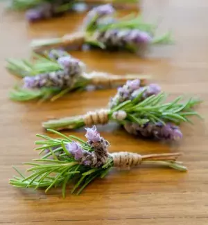 冬だってベランダ菜園！初心者でも成功するハーブの種類と育て方（お料理レシピも！）