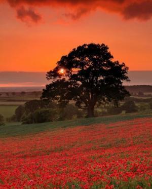 これってうつかも？自分が認められないときに役立つ思考法