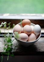 美容のミラクルフード「卵」のすごい効能！代謝は活発、美しく豊かなカラダに！