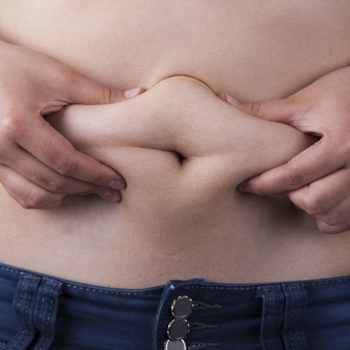 「低脂肪食品」を選ぶ人は要注意！ダイエットのつもりが逆に肥満になる!?