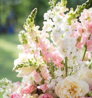 もう過食したくない！自分の欲と上手に付き合う方法【瞳子先生の人生相談】第42回