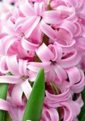 フラれた彼とやり直したい時には？【瞳子先生の人生相談】第43回