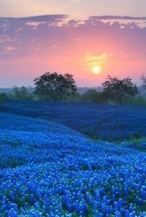 フラれた彼とやり直したい時には？【瞳子先生の人生相談】第43回