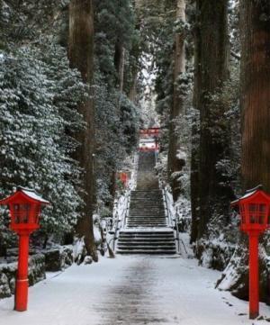 フラれた彼とやり直したい時には？【瞳子先生の人生相談】第43回