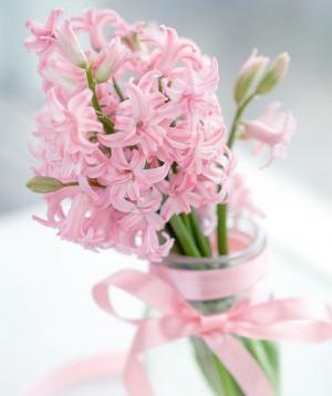 フラれた彼とやり直したい時には？【瞳子先生の人生相談】第43回