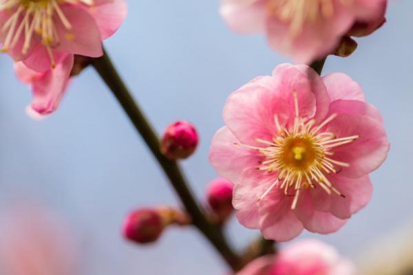 新年プレゼント企画！読者アンケートご協力のお願い