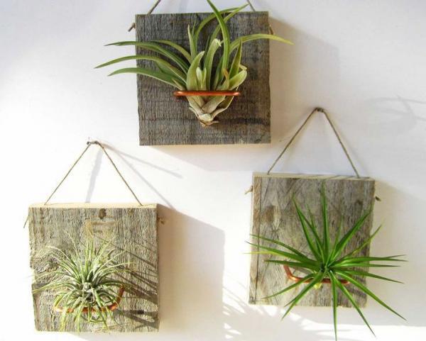 独身一人暮らしに癒しをラクチン！プチガーデニングって？