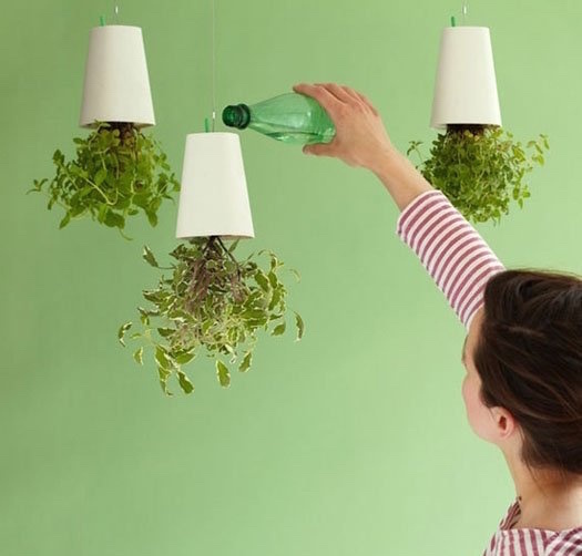 独身一人暮らしに癒しをラクチン！プチガーデニングって？