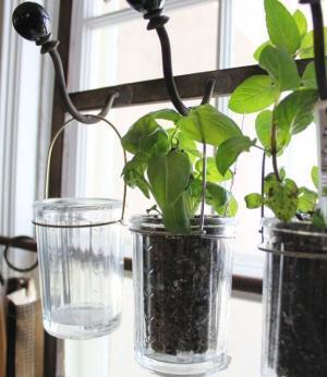 独身一人暮らしに癒しをラクチン！プチガーデニングって？