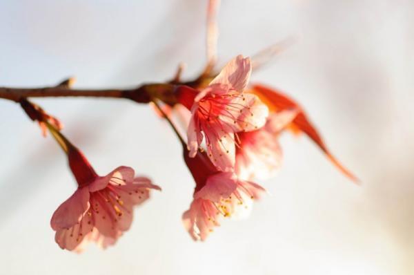 時が経つにつれて、彼のことが好きかわからなくなったら？【瞳子先生の人生相談】第46回