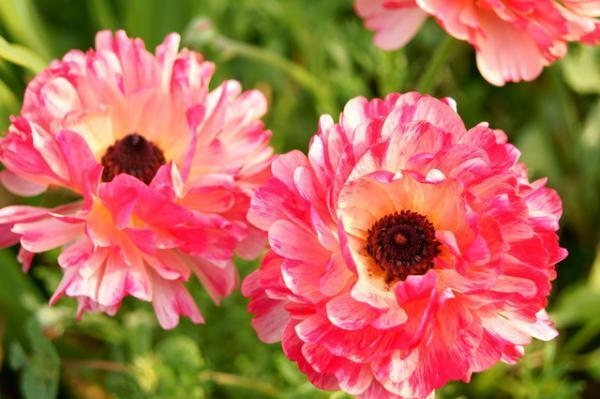 仕事で「悪口」が気になる時はどうすれば？【瞳子先生の人生相談】第47回