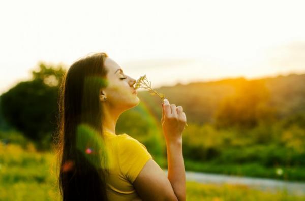 消臭剤は中身を出してインテリアに！そろそろ女子社員が本気で準備したいオフィスの臭い対策