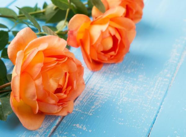 「忙しい」と恋人にフラれました。どうしたら復縁できますか？【瞳子先生の人生相談】第48回