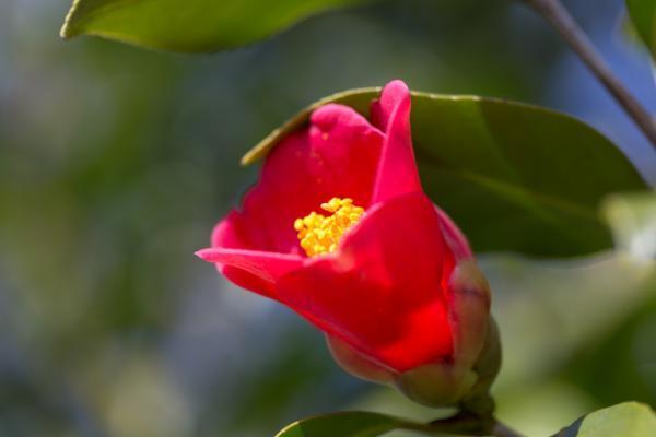 いつも同じような人を好きになって失敗してしまいます【瞳子先生の人生相談】第49回