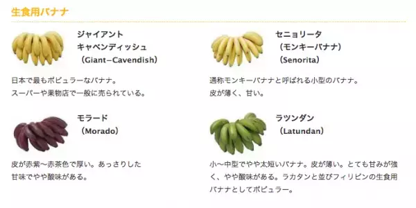 話題のバナップル、スポーツ・バナナって？美容に最適な「バナナ」完全ガイド