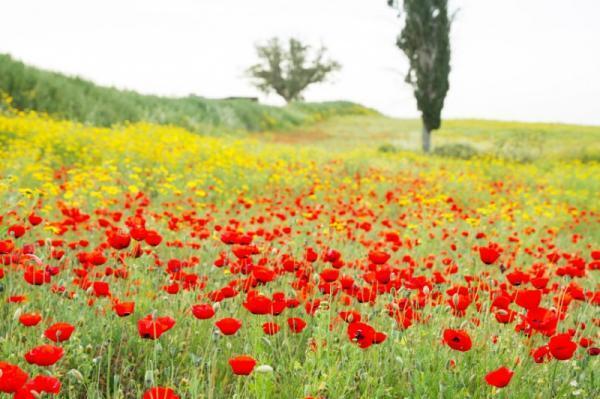 「家族には迷惑をかけたくない！」もしも死んだときに金銭的に迷惑をかけないための理想貯金額とは？