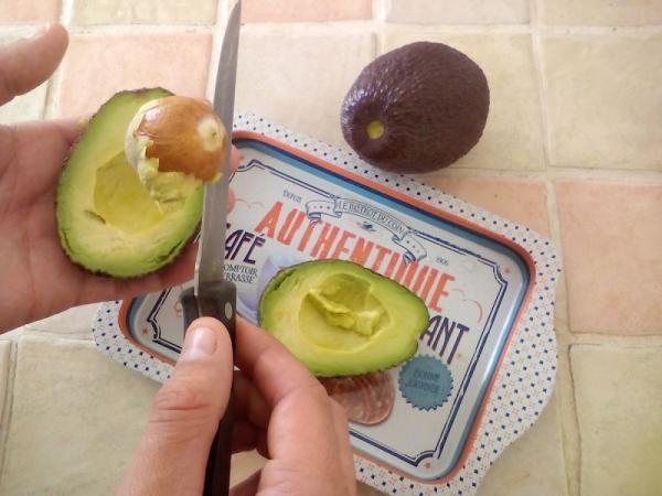 前菜からデザートまで！美容成分たっぷりのアボガドコース料理のつくり方