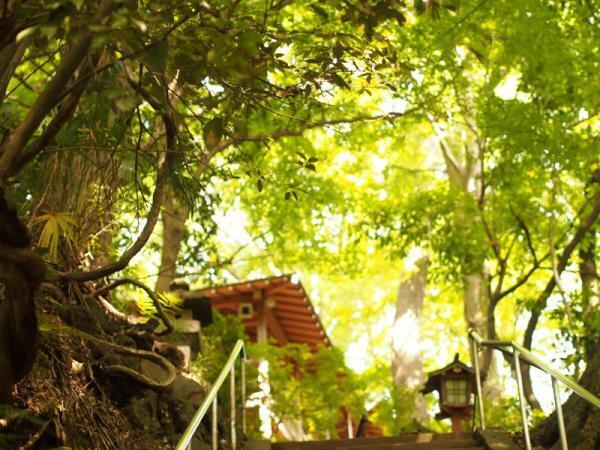 【もう水は買わない！】自然がおいしい！都内で人気の「わき水」スポットって？