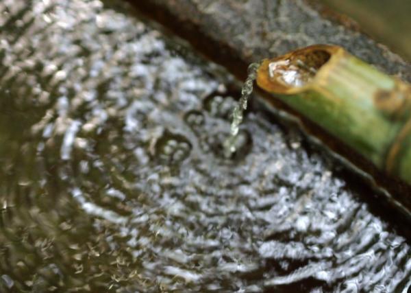 【もう水は買わない！】自然がおいしい！都内で人気の「わき水」スポットって？