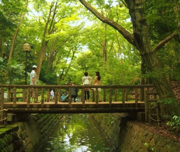 もう水は買わない 自然がおいしい 都内で人気の わき水 スポットって 15年8月13日 ウーマンエキサイト 1 3