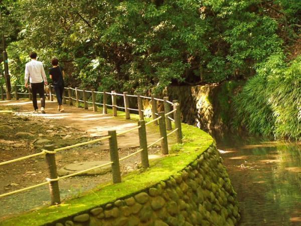 【もう水は買わない！】自然がおいしい！都内で人気の「わき水」スポットって？