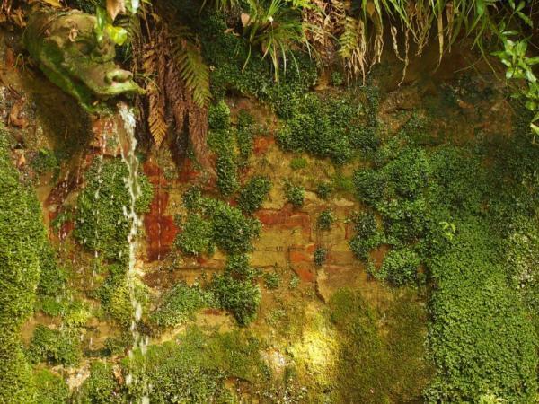 【もう水は買わない！】自然がおいしい！都内で人気の「わき水」スポットって？