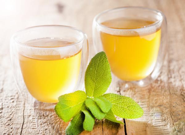 【見るだけで心が躍る】部屋が一気にオシャレになる「ダブルウォールグラス」とは？